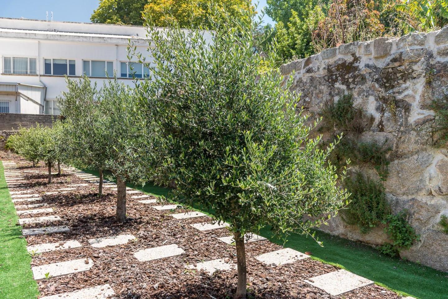 Guestready - Jardim Das Oliveiras Guesthouse - 2 Порто Екстериор снимка